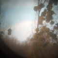 Ecosystems * Living labs:  Film channel